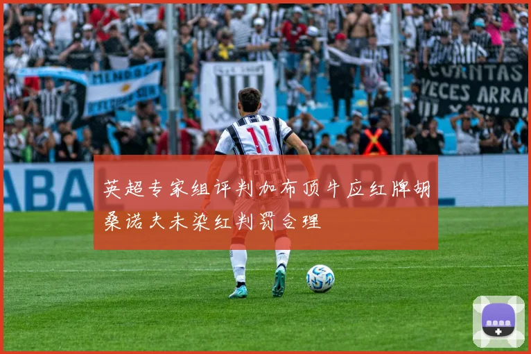 英超专家组评判加布顶牛应红牌胡桑诺夫未染红判罚合理