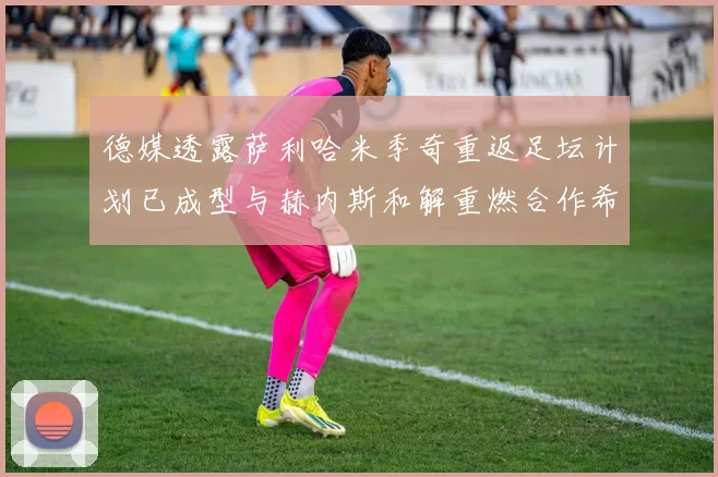 德媒透露萨利哈米季奇重返足坛计划已成型与赫内斯和解重燃合作希望